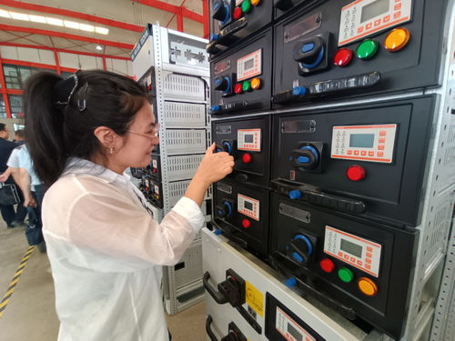 建設國家區域中心城市工作一線跟班學習干部赴長城電氣調研