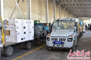 烏魯木齊局集團(tuán)公司雙11電商黃金周運(yùn)輸服務(wù)高效保障物流暢通